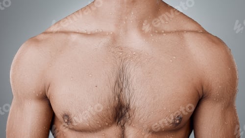 Preview: The perfect chest