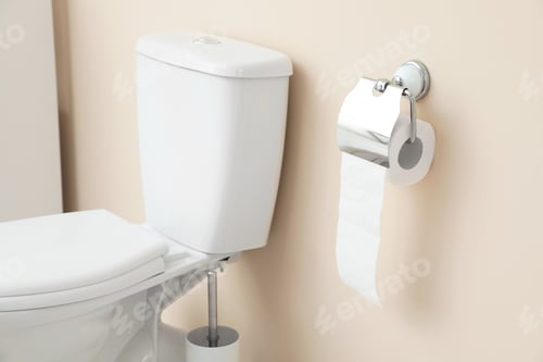 Preview: Holder with toilet paper roll on wall in bathroom