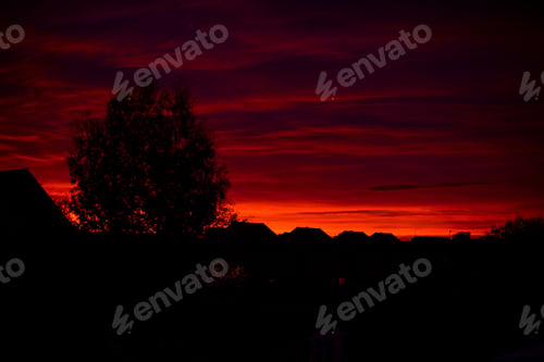 Preview: Bright dark colorful sunset in city. Silhouette of buildings and tree. Bright red clouds in the dark