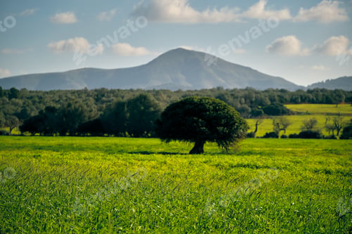 Preview: Green field near mountain on sunny day