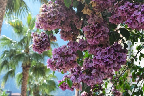 Preview: Spring time