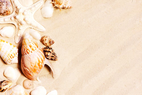 Preview: Background with Seashells on the Sand