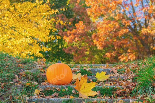 Preview: orange pumpkin on stairs in autumn season park