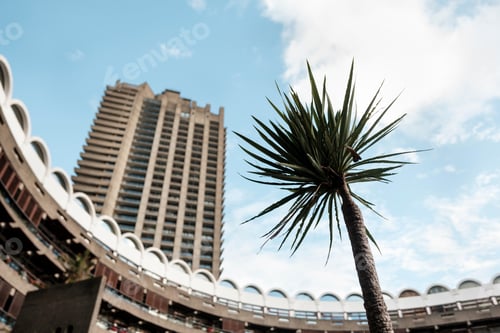 Preview: Barbican estate brutalist architecture with palm tree