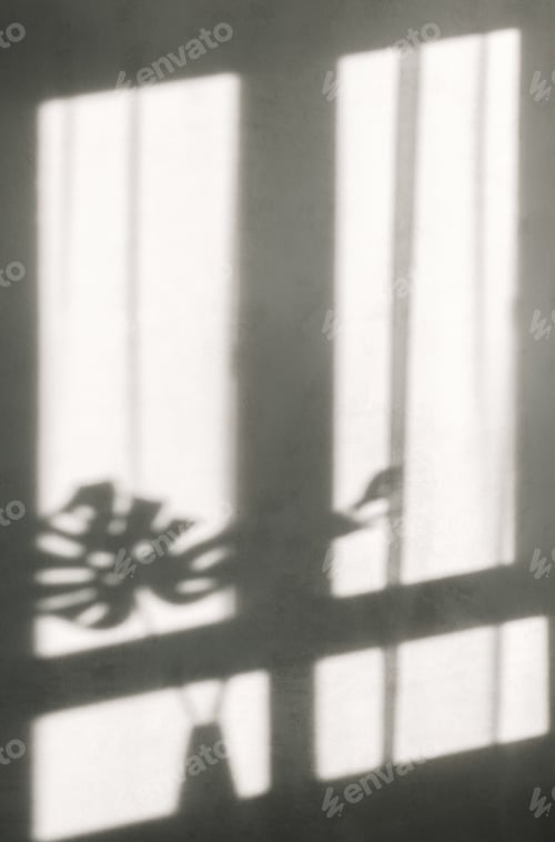 Preview: White wall with window shadow