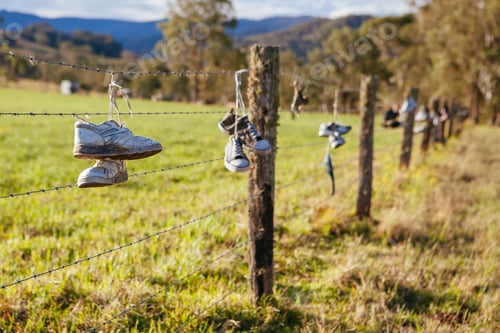 Preview: Hunter Valley Landscape in Australia