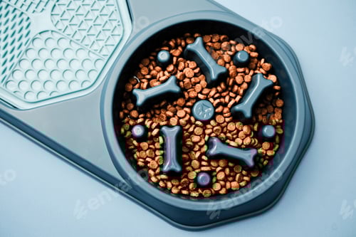 Preview: Blue dog bowl with bone shaped dividers filled with brown kibble on a pale blue background.