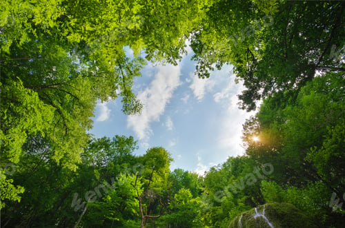 Preview: Green nature frame of spring wood