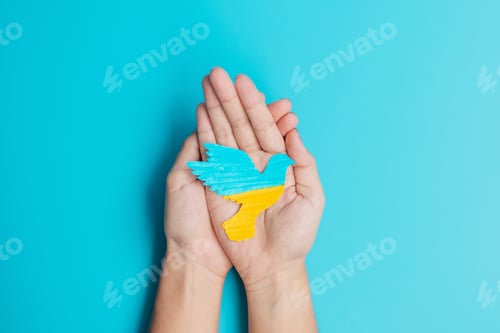 Preview: Support for Ukraine in the war with Russia, Hands holding peace dove with flag of Ukraine. Pray,