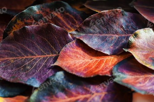 Preview: Texture