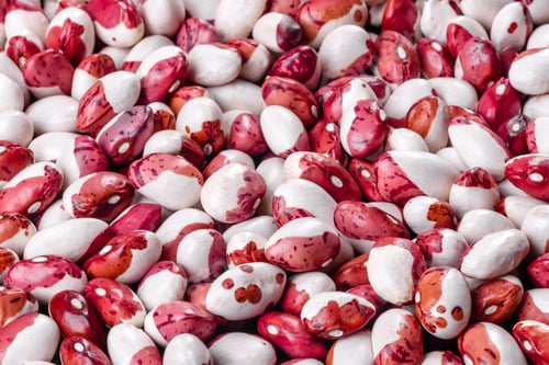 Preview: multicolored beans close-up on a concrete background