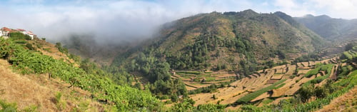 Preview: Viewpoint of the Terraces overlooking the Agricultural terraces Sistelo, Portugal.