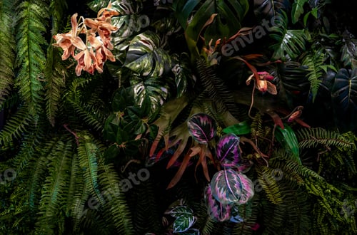 Preview: Herb wall, plant wall, natural green wallpaper and background.