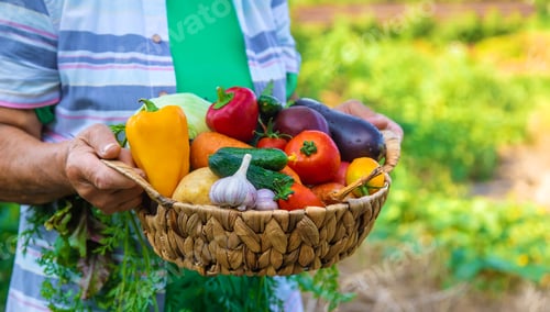 Preview: food
