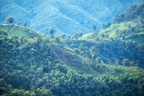 Preview: Beautiful mountain and agriculture field landscape