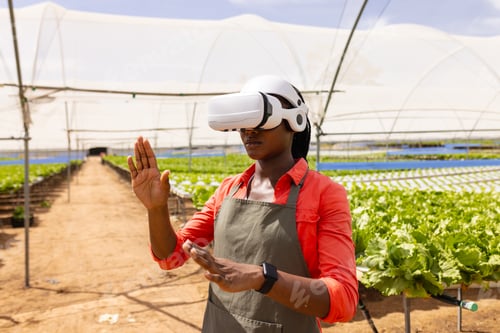 Preview: African American young female farm supervisor in greenhouse, wearing a VR headset at hydroponic farm