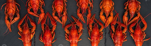 Preview: panoramic shot of red lobsters on black textured surface