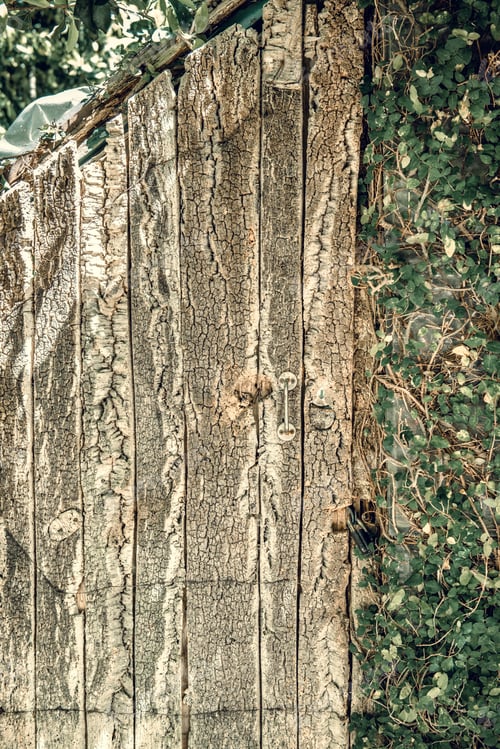 Preview: Ancient wooden door. Texture of the old wood is impossible to miss. Retro vintage handle