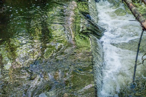 Preview: Trees Are Reflected On The Flowing Water Of Des Moines Creek In Washington State.