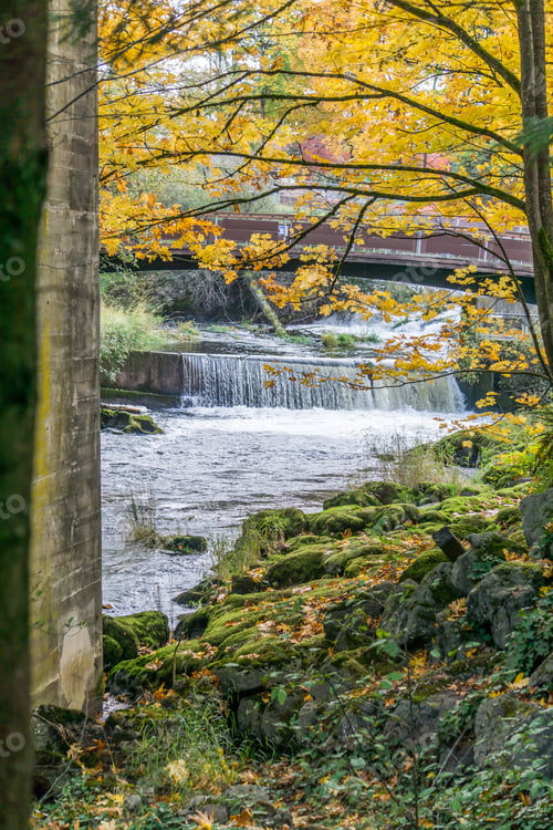 Preview: A View Of A Bridge And River At Tumwater Falls Park In Washington State.