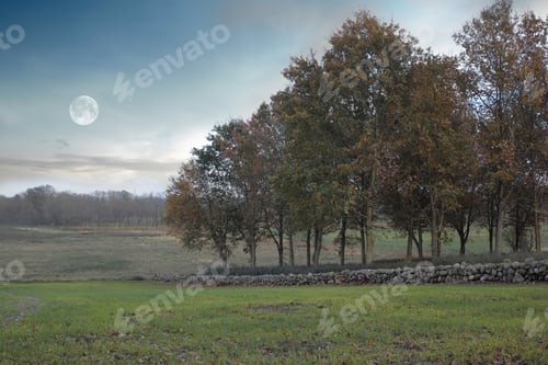 Preview: Beautiful autumn