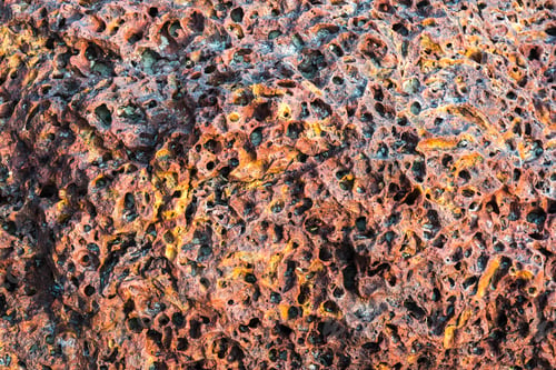 Preview: Pattern of coral detail close up background with copy space, Talpona Beach, South Goa, India