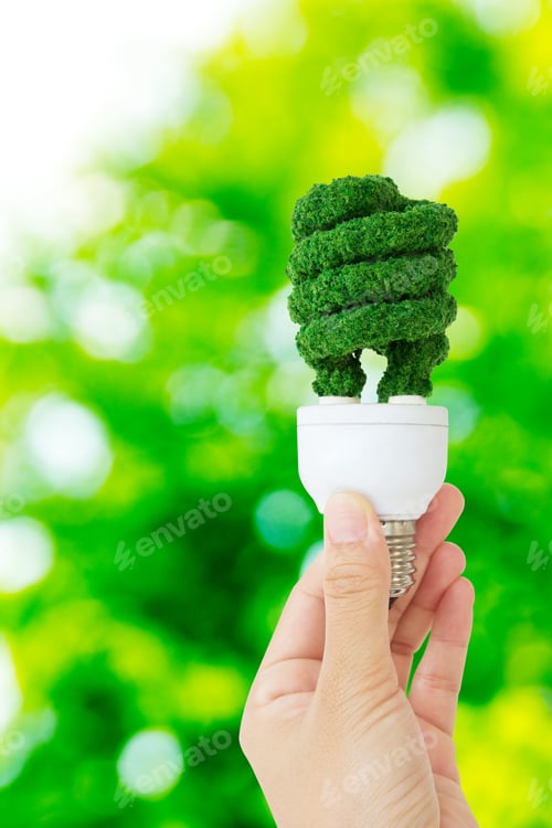 Preview: Eco light bulb energy concept