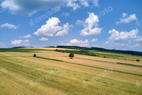 Preview: Aerial landscape view of green and yellow cultivated agricultural fields with growing crops