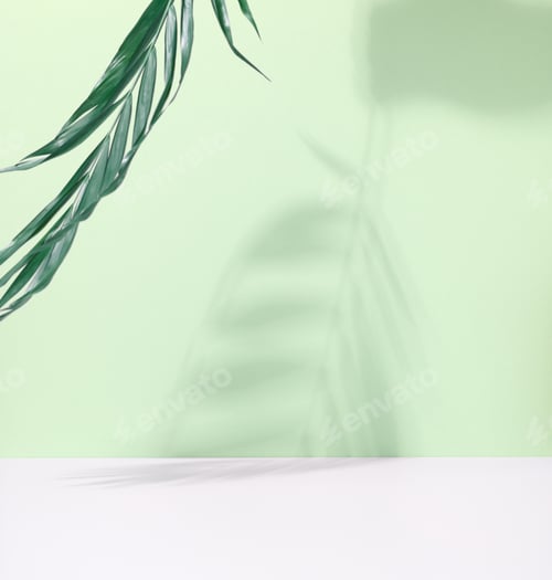 Preview: Green palm leaves with shadow on a green background. Empty stage