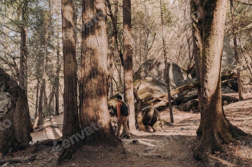 Preview: People in nature Man hiking hiking in nature