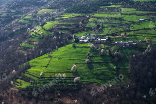 Preview: Countryside springtime