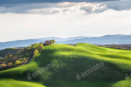 Preview: Spring fields in Tuscany