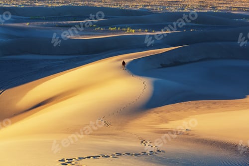Preview: Hike in desert