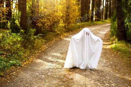 Preview: A child in sheets with slits like a ghost costume in an autumn forest scares and terrifies