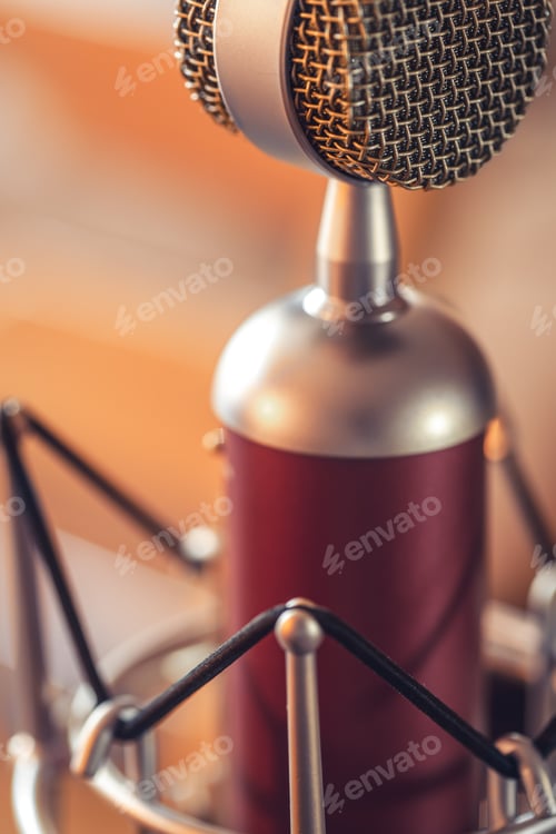 Preview: Professional microphone for sound recording, macro photography.