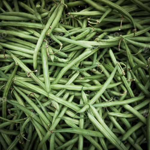 Preview: green bean