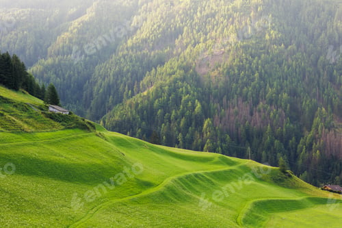 Preview: Scenic picturesque landscape view small little wooden log alpine hut green lush alpine austrian