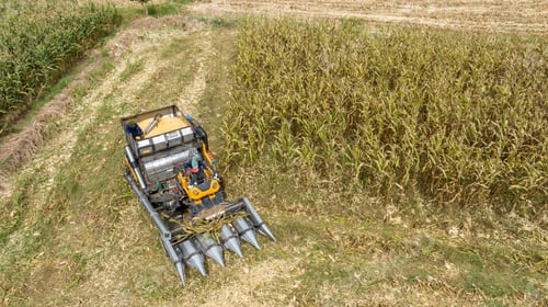 Preview: Farm machines harvesting corn. The entire corn plant is used, no waste. Agricultural