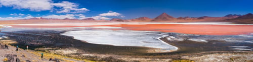 Preview: Red Lagoon (Laguna Colorada), a salt lake in the Altiplano of Bolivia in Eduardo Avaroa Andean Fauna
