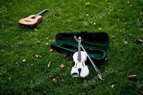 Preview: Close-up shot of a violing and a guitar on the grass