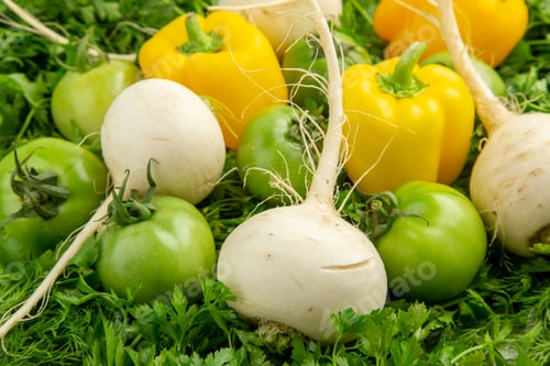 Preview: front view fresh greens with green tomatoes radish and bell-peppers on white background meal diet