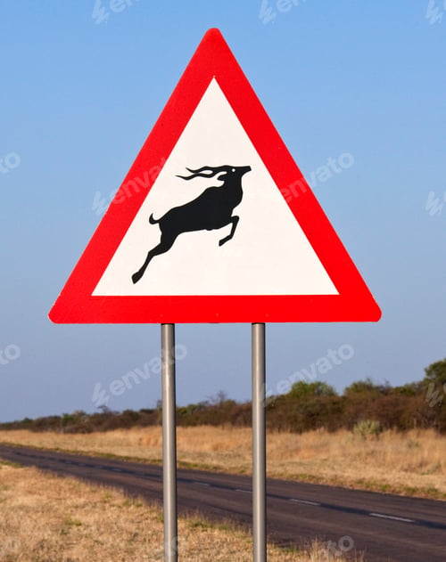 Preview: Antelopes - Road Sign
