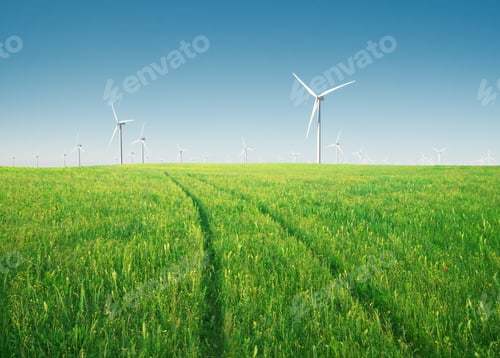 Preview: Wind power plant and green meadow at day.