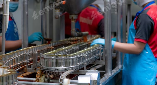 Preview: Canned fish factory. Food industry. Sardines in red tomato sauce in tinned cans on conveyor belt