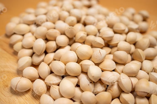 Preview: Fresh ginkgo seed nut close up