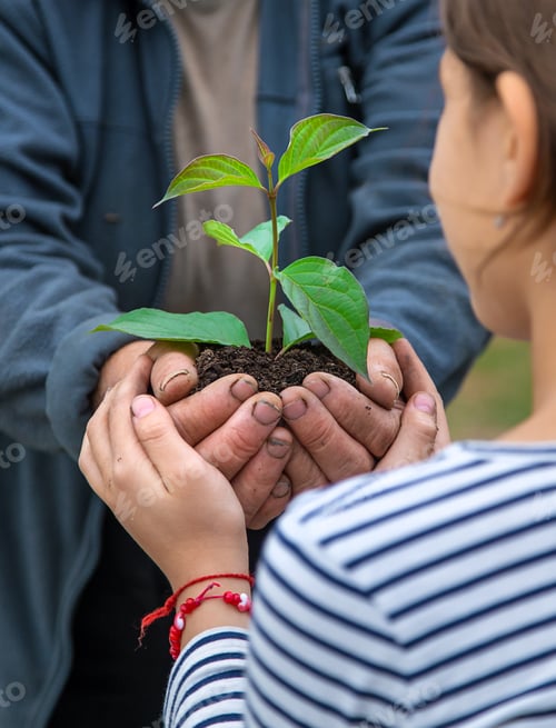 Preview: The child and grandmother are planting a tree. Selective focus.