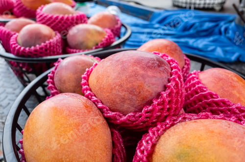 Preview: Stacks Of Mango Fruits In A Basket At Traditional Marketplace, Taiwan