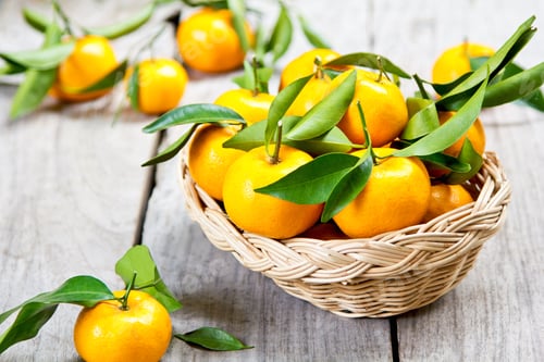 Vorschau: Orange