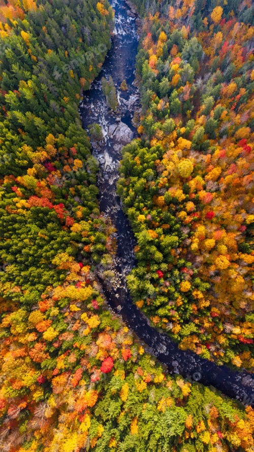 Preview: Aerial view of Winding River Through Autumn Trees with Fall Colors in New England