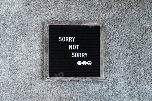 Preview: Felt letter board sign "Sorry. Not sorry” in a wooden frame on grey plush background. Overhead view.